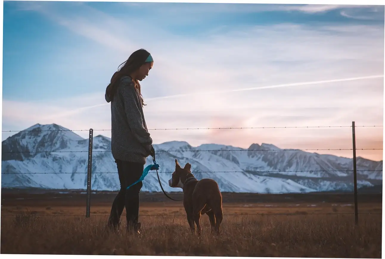 Essential Materials for Dig-Proof Dog Beds