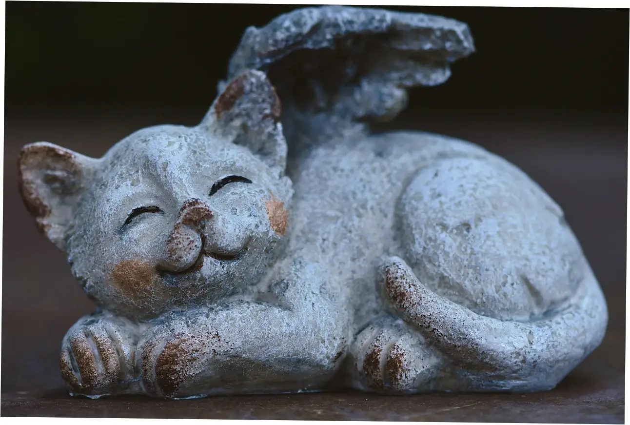 Want your cat to live longer in human years? Here are some practical tips.