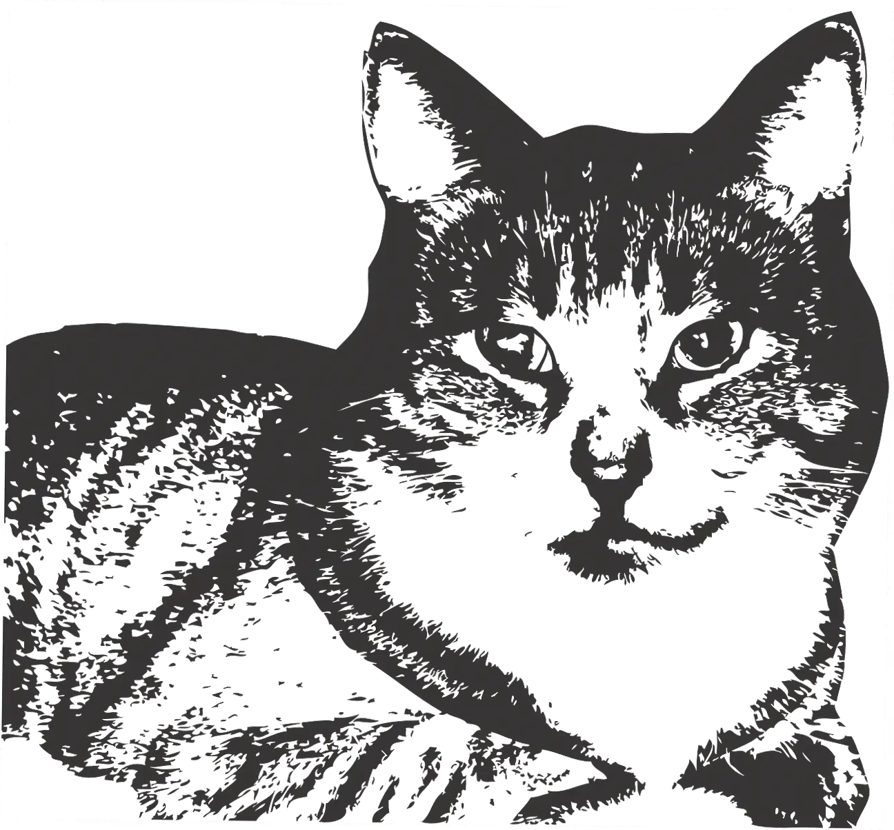 why do cats purr when you pet them