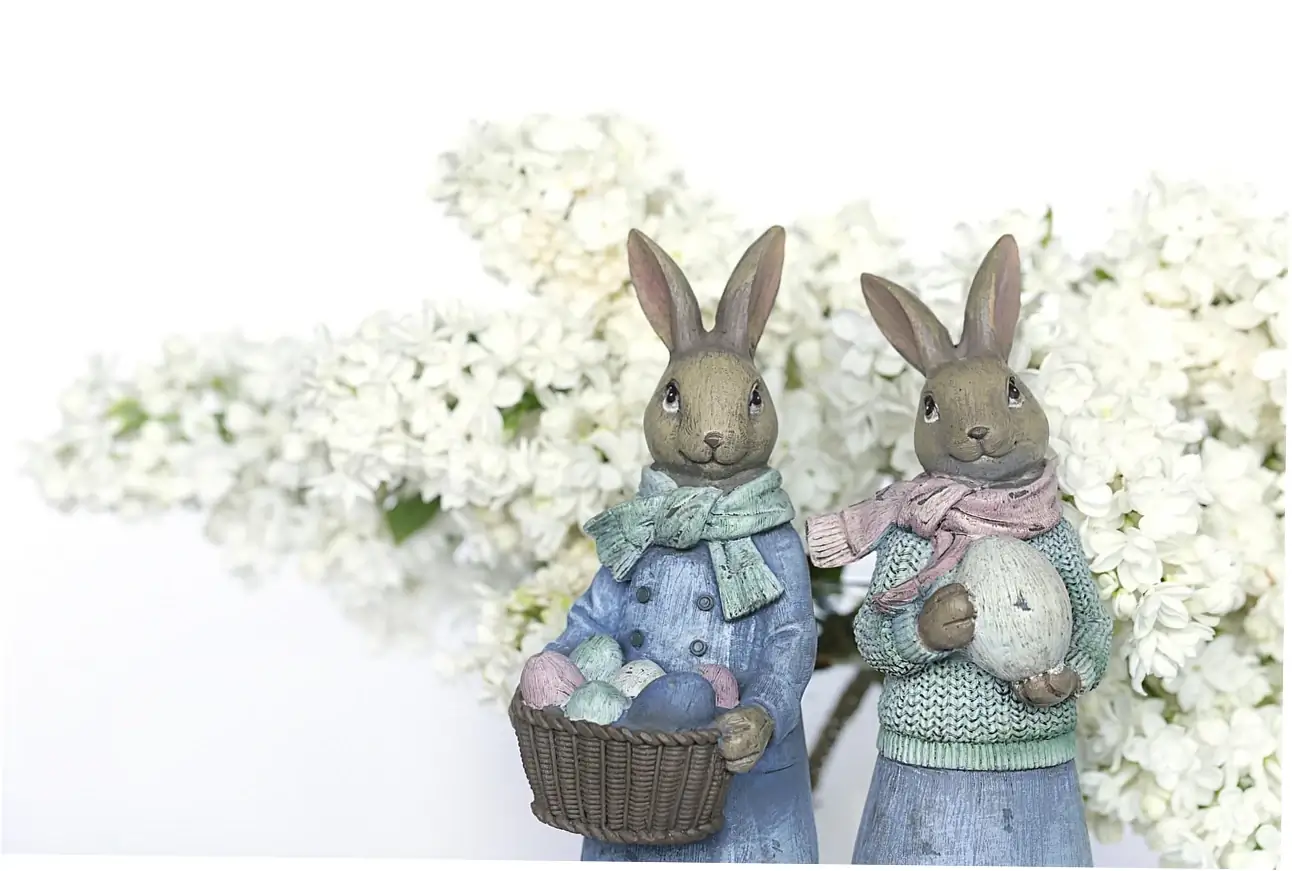 Let's talk about making a home that's both safe and fun for your bunny.